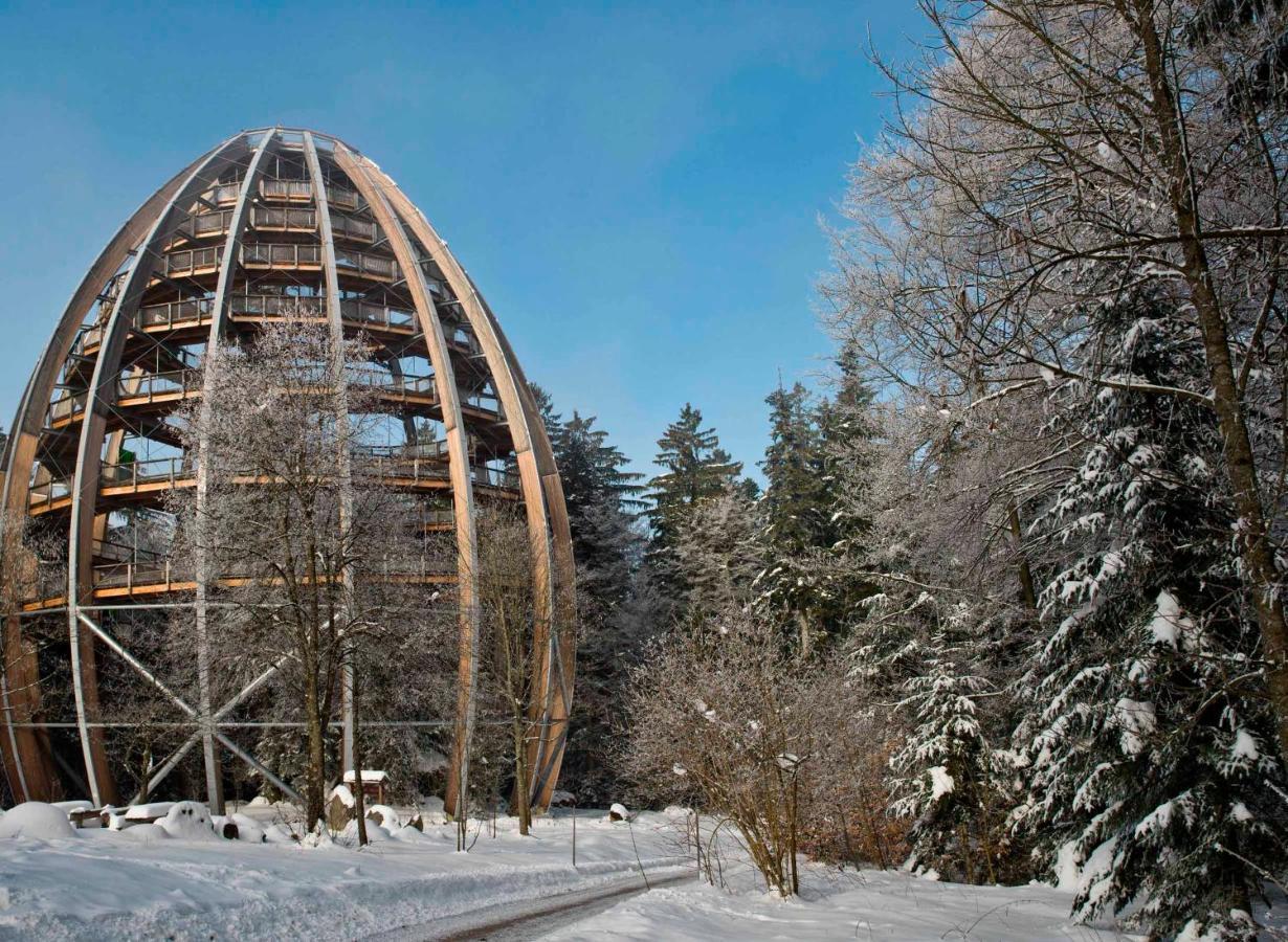 Ferienwohnung Im Landhaus Am Nationalpark Ludwigsthal Exterior foto